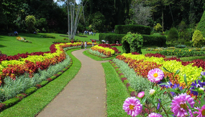 Let Me Introduce You To See The Best Botanical Gardens In Sri Lanka